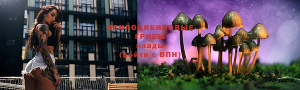 герыч Володарск