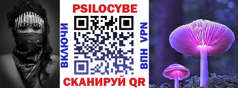 Псилоцибиновые грибы Psilocybe  Дятьково 